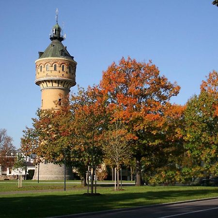 Aux Souvenirs D'Anaelle Gites 5 Personnes Sainte-Marie-aux-Mines Zewnętrze zdjęcie