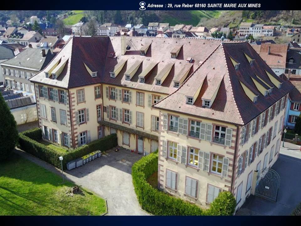 Aux Souvenirs D'Anaelle Gites 5 Personnes Sainte-Marie-aux-Mines Zewnętrze zdjęcie