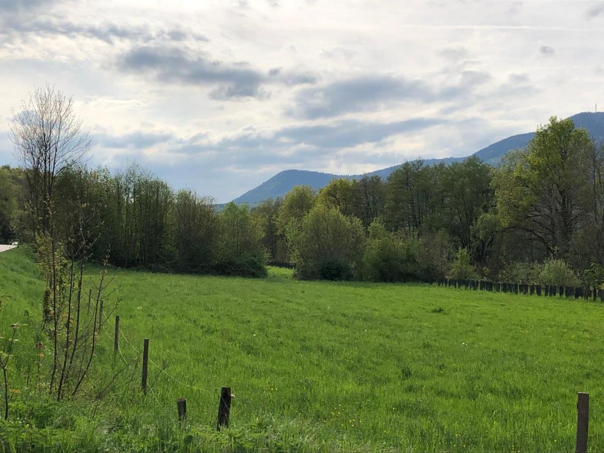 Aux Souvenirs D'Anaelle Gites 5 Personnes Sainte-Marie-aux-Mines Zewnętrze zdjęcie