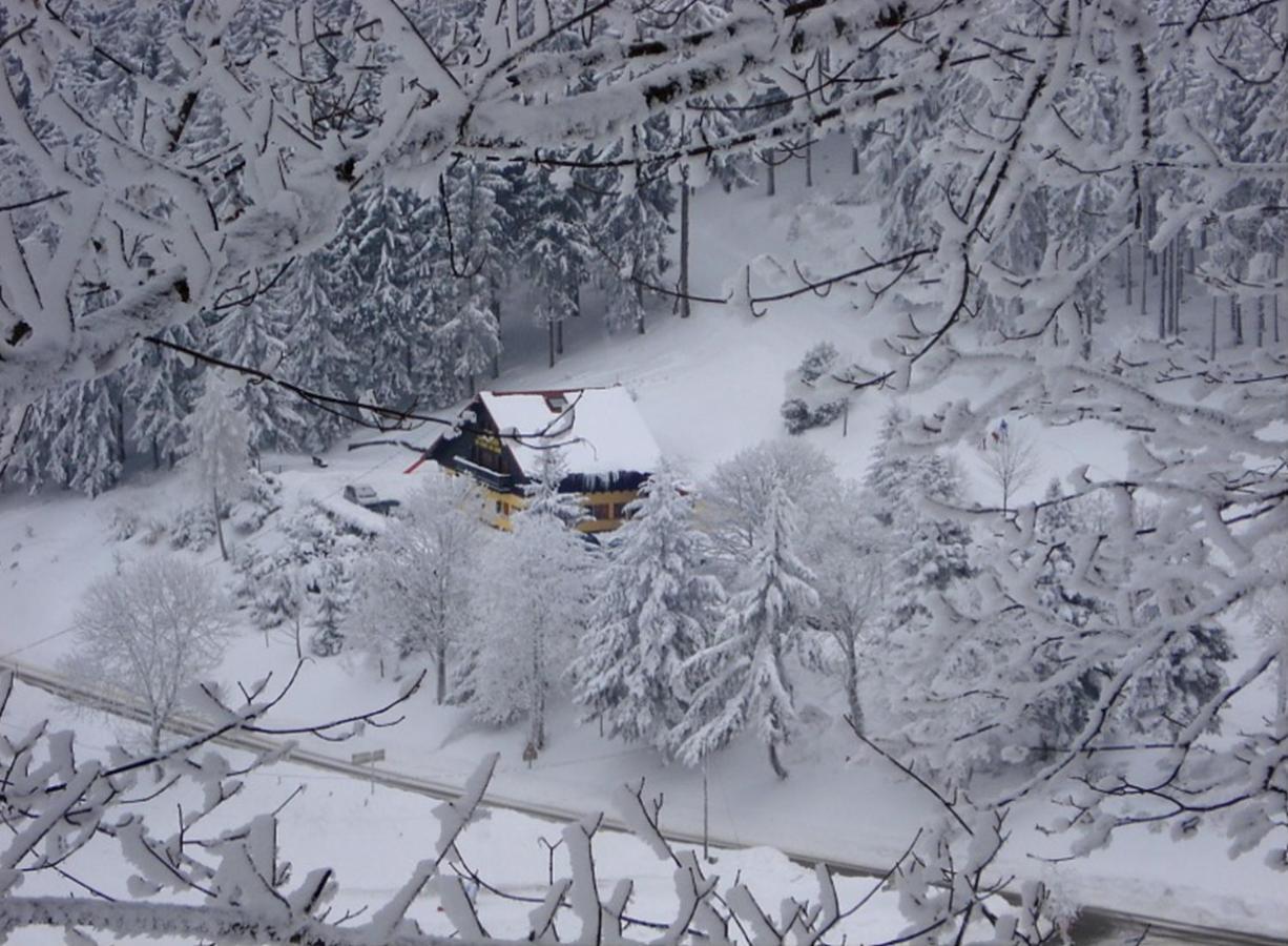 Aux Souvenirs D'Anaelle Gites 5 Personnes Sainte-Marie-aux-Mines Zewnętrze zdjęcie