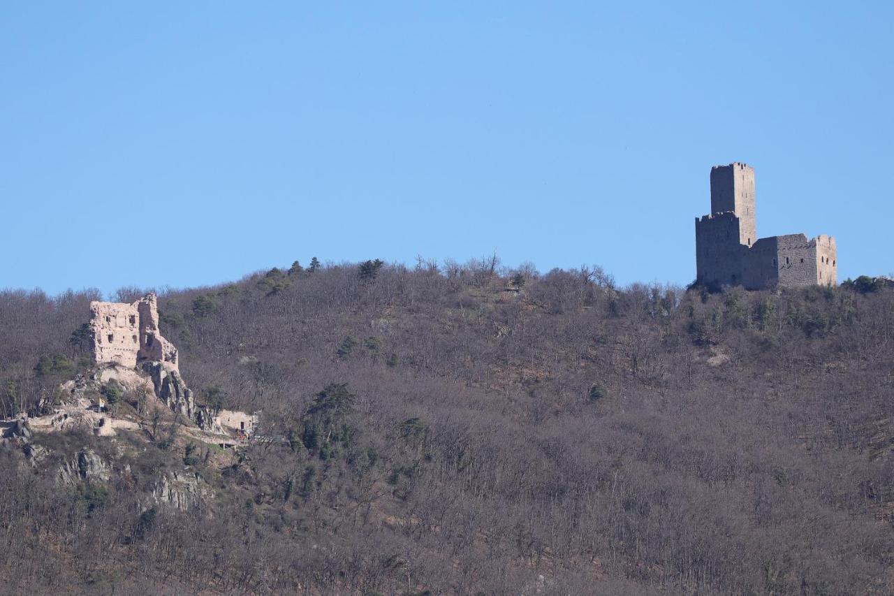 Aux Souvenirs D'Anaelle Gites 5 Personnes Sainte-Marie-aux-Mines Zewnętrze zdjęcie