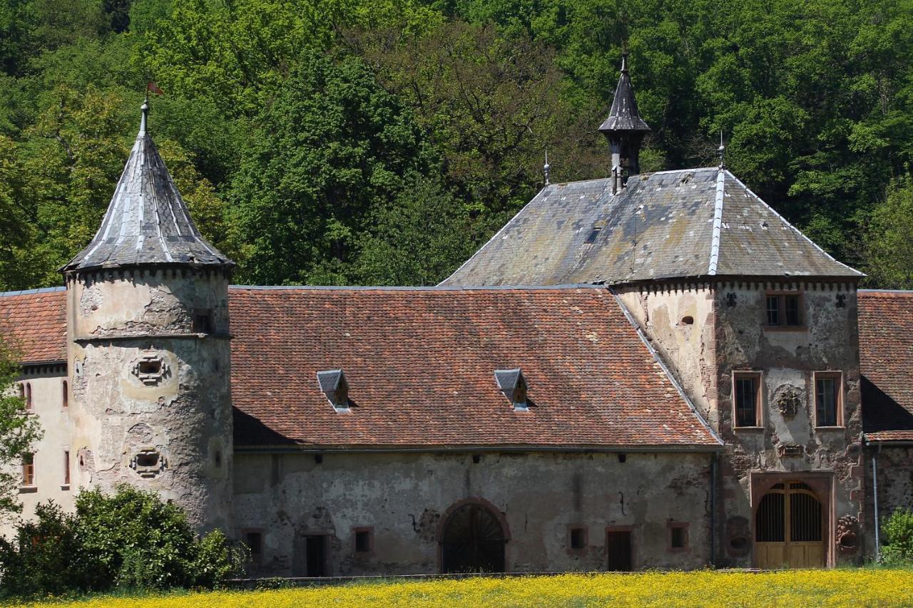 Aux Souvenirs D'Anaelle Gites 5 Personnes Sainte-Marie-aux-Mines Zewnętrze zdjęcie