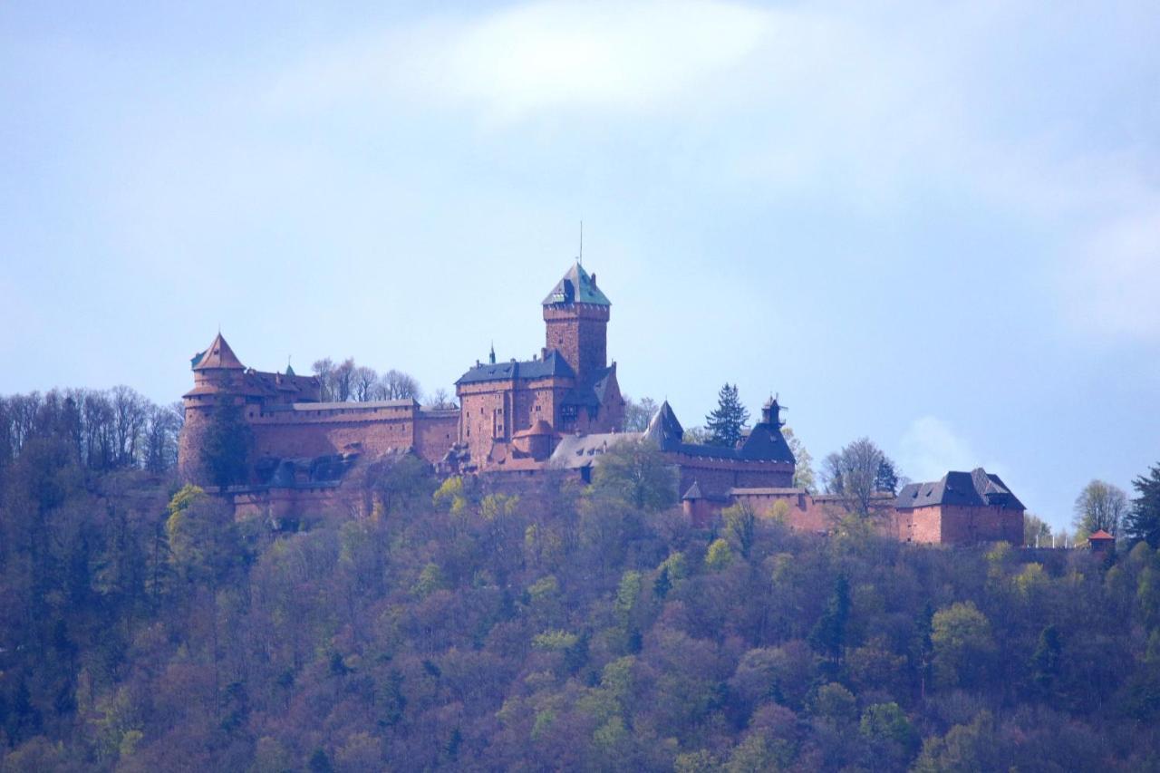 Aux Souvenirs D'Anaelle Gites 5 Personnes Sainte-Marie-aux-Mines Zewnętrze zdjęcie